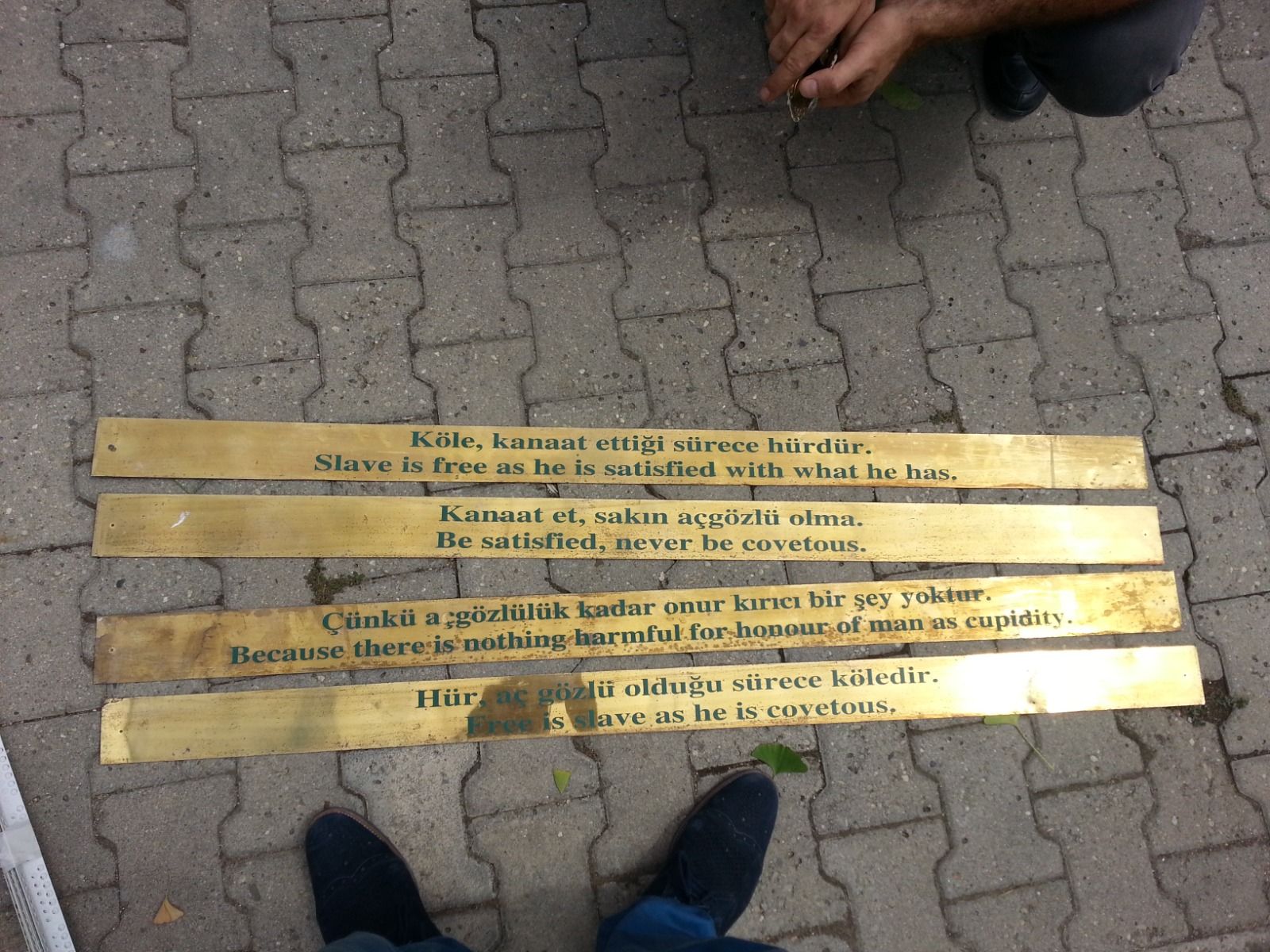 İSTANBUL ÜNİVERSİTESİ BALTALİM